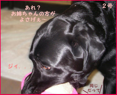 0711014_4.jpg