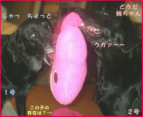0711014_5.jpg