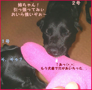 0711014_6.jpg