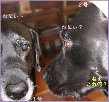 0711020_2.jpg