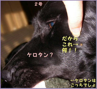 0711020_3.jpg