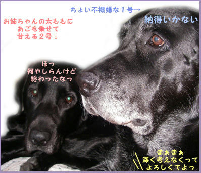 0711020_8.jpg