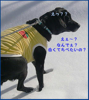 0711030_4.jpg
