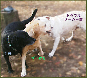 071202_4.jpg