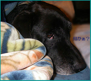 071212_3.jpg