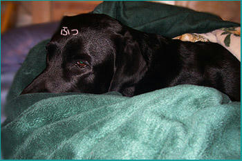 071212_4.jpg