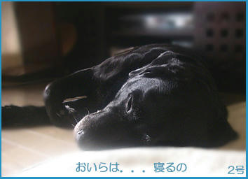 071218_3.jpg