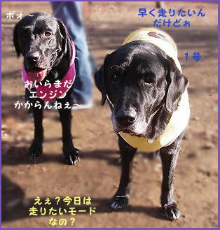 071230_0.jpg