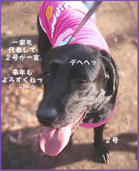 071230_1.jpg