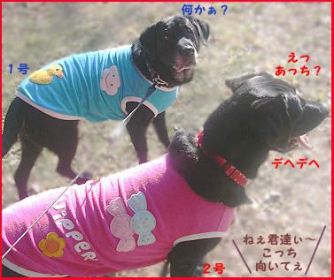 080107_1.jpg