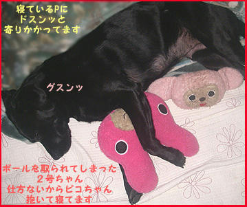 080107_4.jpg