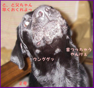 080107_7.jpg
