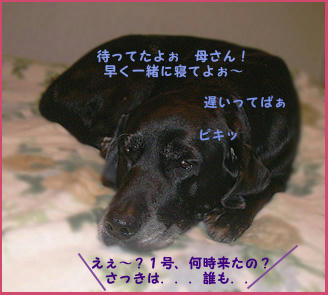 080111_1.jpg