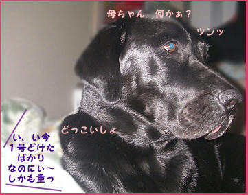 080111_3.jpg
