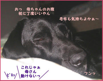 080111_4.jpg