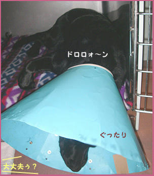 080121_3.jpg