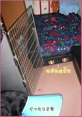 080121_4.jpg