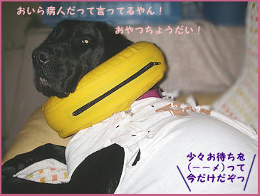 080121_8.jpg