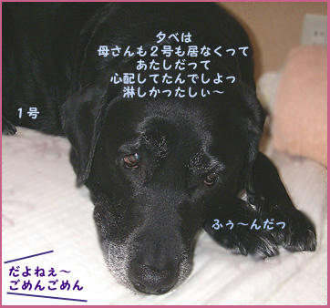 080121_9.jpg