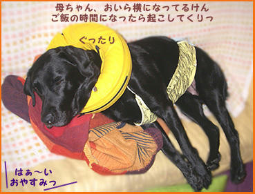 080123_1.jpg