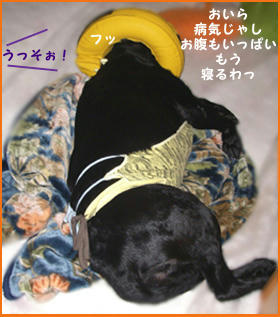 080123_3.jpg