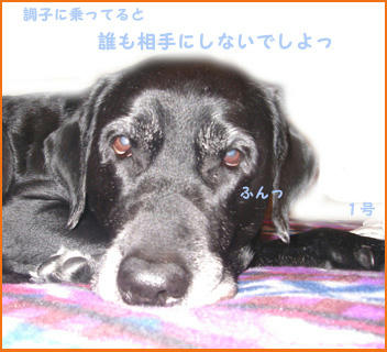 080123_7.jpg