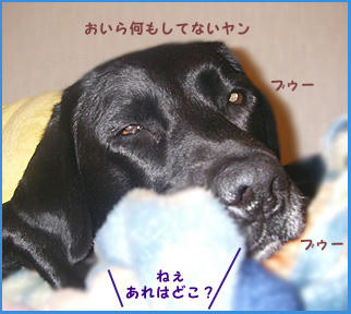 080128_1.jpg