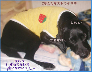 080128_2.jpg