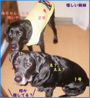 080128_4.jpg