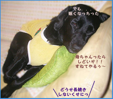 080128_5.jpg