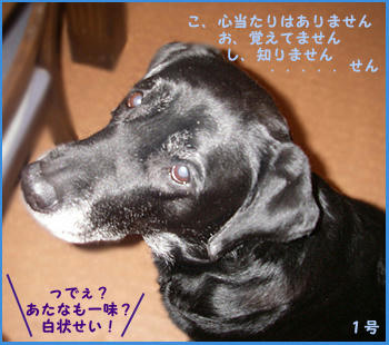 080128_6.jpg