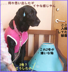 080130_1.jpg