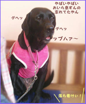 080130_2.jpg