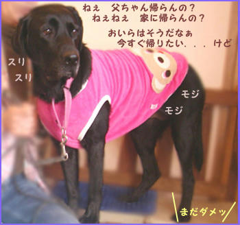 080130_3.jpg