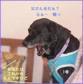 080130_4.jpg