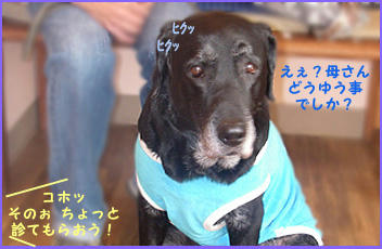 080130_5.jpg