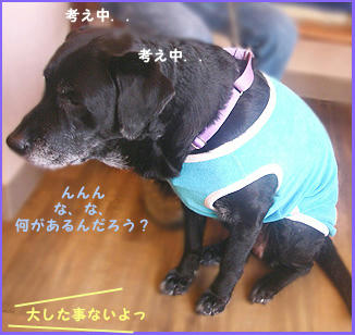 080130_6.jpg