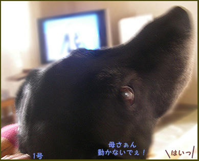 080208_6.jpg