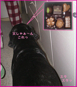 080214_3.jpg