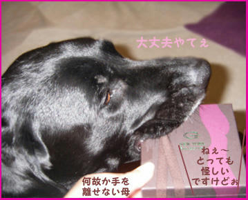 080214_5.jpg
