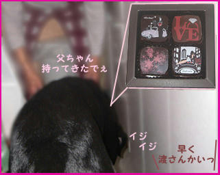 080214_6.jpg