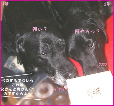 080214_7.jpg
