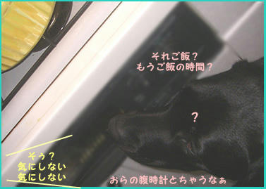 080228_4.jpg