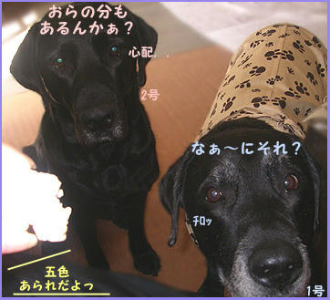 080305_1.jpg