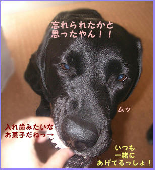 080305_3.jpg