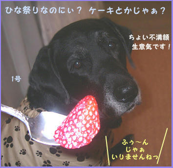 080305_4.jpg