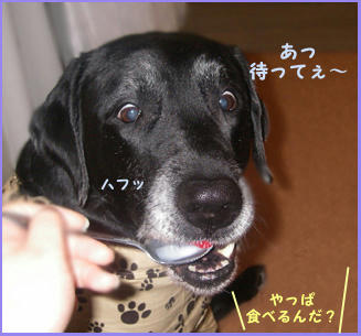080305_5.jpg