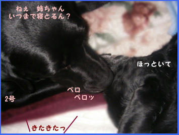 080306_2.jpg