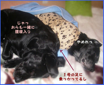 080306_3.jpg