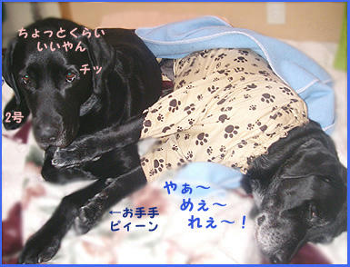080306_4.jpg
